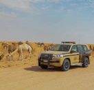 هيئة تطوير محمية الملك سلمان بن عبدالعزيز الملكية تضبط مخالفين لنظام البيئة لارتكابهم مخالفات الرعي في محمية الخنفة