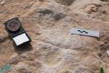 اكتشاف آثار أقدام إنسان في صحراء النفود تعود لأكثر من 85 ألف عام