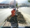 بالصور .. بلدية رجال ألمع تقوم بصيانة بعض الشوارع والمنتزهات