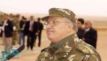 رئيس أركان الجيش الجزائري يتفقد موقع تحطم الطائرة العسكرية
