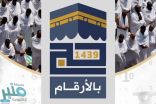 موسم الحج في أرقام (إنفوجراف)