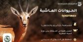 هيئة تطوير محمية الملك سلمان بن عبدالعزيز الملكية تعزز الوعي بالتوازن البيئي من خلال حملة “نعتمد على وعيك”