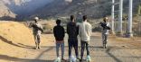 القبض على 3 إثيوبيين بجازان لتهريبهم (60) كيلوجرامًا من نبات القات المخدر