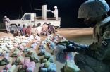 حرس الحدود بجازان يحبط تهريب نبات القات المخدر
