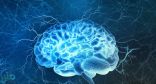 اكتشاف علمي كبير يمهد لفهم تعقيدات الدماغ البشري