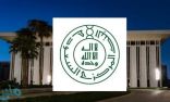 البنك المركزي يوجه البنوك وشركات التمويل بالتجاوب مع طلبات القضاء خلال 15 يومًا