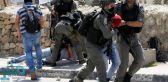 قوات الاحتلال تعتقل أربعة فلسطينيين غرب جنين