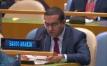 المملكة تطالب الأمم المتحدة بحل حاسم لمأساة مسلمي الروهينجا