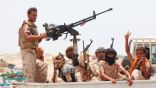 مقتل عناصر حوثية في الحديدة