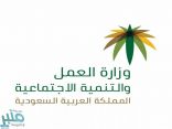 “العمل” تتيح خدمة تحديث بيانات مستفيدي الضمان الاجتماعي القادرين على العمل