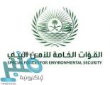 القوات الخاصة للأمن البيئي تضبط مخالفَين لقيامهما بتشويه المعالم الطبيعية في محافظة الخرمة