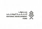 صندوق التنمية الوطني يدعم القطاعات الاقتصادية لمواجهة التقلبات التي خلفتها جائحة كورونا