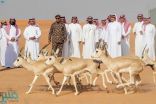 وزير الداخلية يتفقد محمية الملك عبدالعزيز الملكية ويطلق عدداً من ظباء الريم والمها العربي