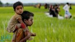 ” التعاون الإسلامي ” تطالب ميانمار بوقف الأعمال الوحشية ضد الروهينجيا