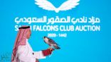 مزاد نادي الصقور السعودي يشهد ثاني أكبر عرض للصقور في يوم واحد