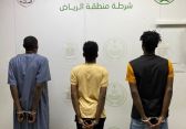 القبض على (3) أشخاص لارتكابهم حوادث سرقة مركبات واسترداد (40) مركبة