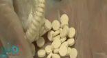 بالفيديو.. مكافحة المخدرات توضح جانبا من أساليب التهريب