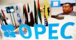 أمين عام أوبك: جميع منتجي النفط ملتزمون باستعادة استقرار السوق