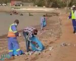 أمين منطقة تبوك يوجه بالتحقيق في فيديو شاطئ حقل