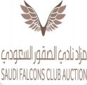 غداً .. انطلاق أولى ليالي مزاد نادي الصقور السعودي المخصص لصقور الطرح المحلي