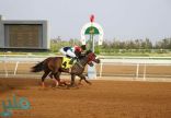 نادي الفروسية يقيم سباقه السابع ضمن موسم سباقات الخيل للمصيف بالطائف