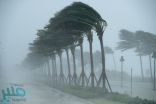 العاصفة روزا تتحول إلى إعصار من الفئة الثالثة في المحيط الهادي