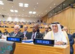 وزير الخارجية يشارك في الاجتماع التنسيقي السنوي لدول منظمة التعاون الإسلامي بنيويورك