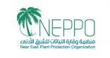 “المملكة” تنضم إلى منظمة وقاية النباتات في الشرق الأدنى (NEPPO)