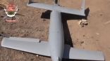 ألوية العمالقة تسقط طائرة حوثية دون طيار في اليمن