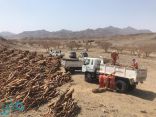 مصادرة ٦٠ طنا من الحطب والفحم المحلي في الكامل