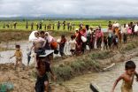 اللاجئين الروهينجا في بنغلاديش يتخطون حاجز النصف مليون