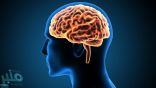 دراسة سويسرية تحدد منطقة في المخ مسؤولة عن الاندفاع للمجازفة أو الميل للحذر