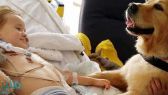 كلب يُعيد طفلًا مصاب بحالة دماغية نادرة إلى وعيه