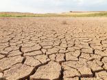 “الغطاء النباتي” يطلق مبادرة تطوير القدرة على الاستعداد للجفاف والتصحر وزحف الرمال