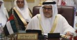 قرقاش: طلب قطر الحماية من دولتين غير عربيتين مأساوي