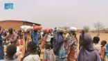 مركز الملك سلمان للإغاثة يوزع 487 سلة غذائية رمضانية في النيجر