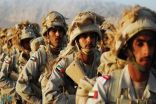 الإمارات تعلن عودة قواتها من عدن وتسليم المدينة للقوات السعودية واليمنية