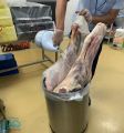 “أمانة جدة” تتلف 40 كيلو من اللحوم والأسماك الفاسدة بأحد “الهايبرات”
