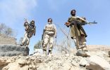 الجيش اليمني يُحرر مناطق بريف تعز وعملية عسكرية لمطاردة فلول المتمردين