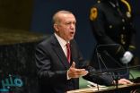 مصر تتهم إردوغان بدعم المتطرفين