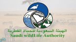 الحياة الفطرية: لم نُرخص بصيد أو إمساك الكائنات المحلية