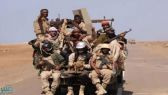 الجيش اليمني: مقتل وإصابة أكثر من ألف حوثي في معارك بتعز خلال 2020