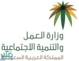 العمل تعلن آلية قرار تحمل الدولة المقابل المالي على العمالة الوافدة في المنشآت الصناعية