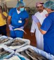 فرع وزارة البيئة والمياه والزراعة بمنطقة مكة المكرمة ينفذ جولات ميدانية على أسواق السمك بجدة