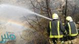 الدفاع المدني الفلسطيني يخمد أكثر من 100 حريق طالت الأشجار والأعشاب الجافة