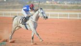 غدًا .. انطلاق سباق الخيول الثاني على درع “مجموعة شركات صالح سعيد طيشان وأولاده” بالباحة