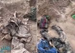 العراق.. الكشف عن مقبرة تضم عشرات الجثث شمال الفلوجة