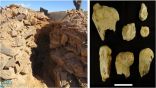 العثور على أقدم المصايد الحجرية بالعالم في شمال المملكة