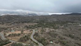 “الغطاء النباتي” يطرح فرصًا استثمارية بمساحة تتجاوز 3 ملايين متر مربع لتعزيز السياحة البيئية بالباحة