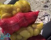 النيابة العامة تستدعي شخصا صور ونشر مقطع فيديو لامرأة تقوم ببيع الخضار